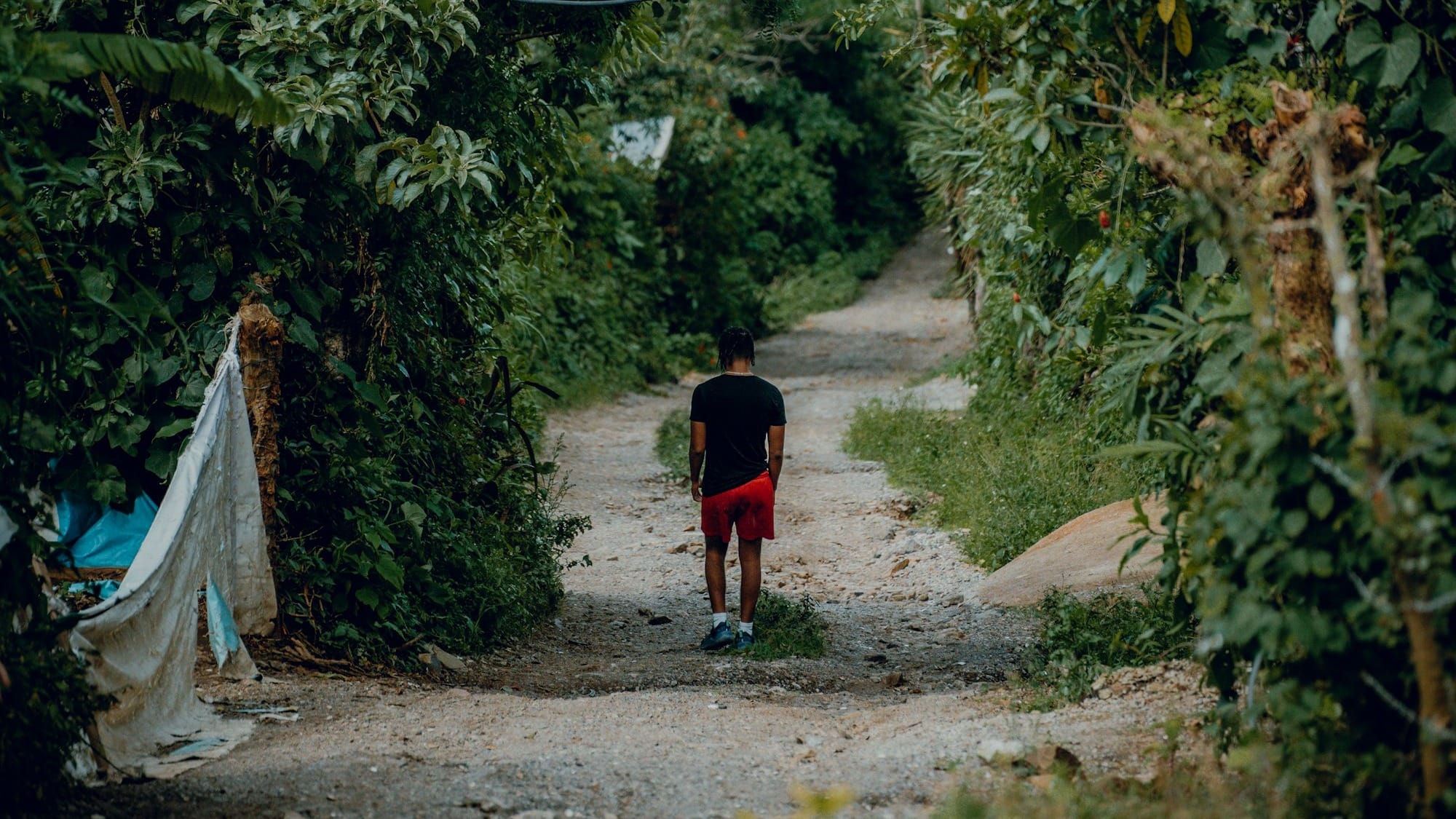 Start Smart TA Series - Lesson 31: Trend Reversal Vs Continuation Patterns In Crypto, How To Tell The Difference