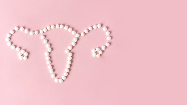 The Vaginal Microbiome
