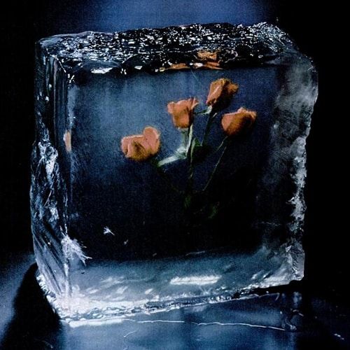 Four Roses Bourbon Ad Circa1945