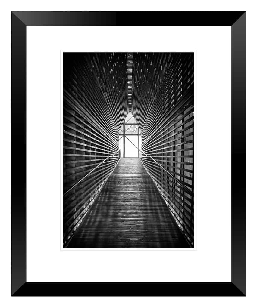 Wild Turkey Visitor Center Print