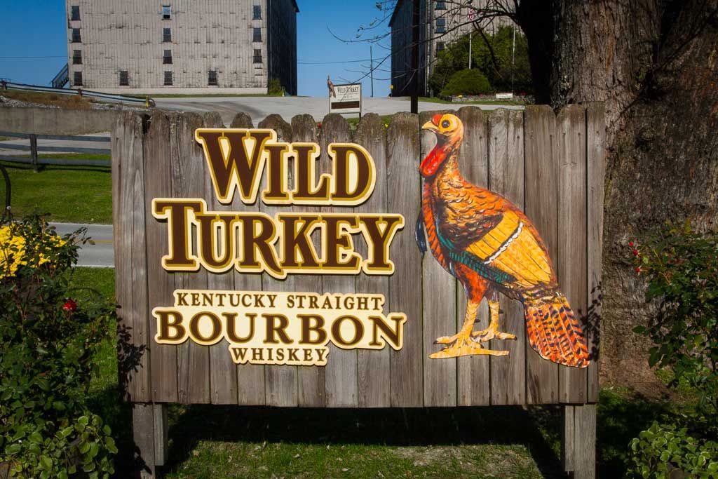 Wild Turkey Bound Photo
