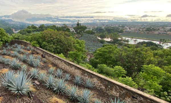 Annual Fortaleza Winter Blend Showcases Challenges of Cask Finishing