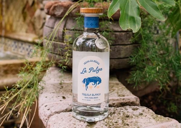 La Pulga Tequila Blanco Review