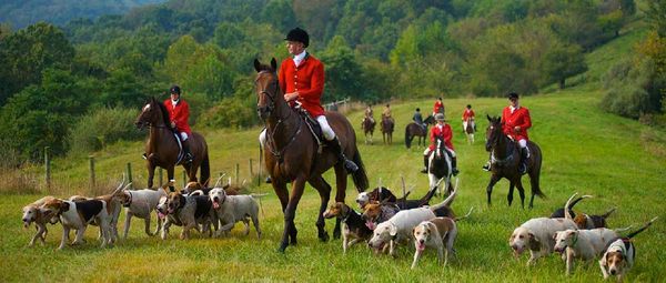 Great Bourbon Hunt Photo