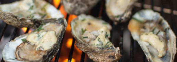 Scotch Oysters Header