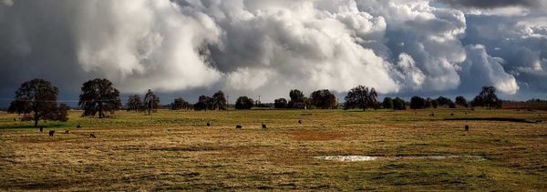 Rancho Clara Cocktail Header