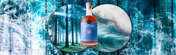 Umiki Japanese Whisky Review Header