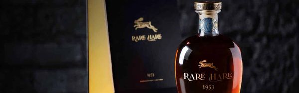 Rare Hare 1953 header image