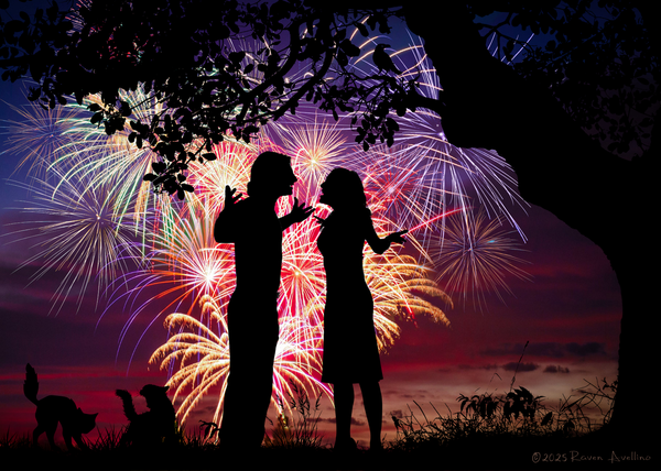 Silhouettes of two fighting cats next to an arguing couple beneath colorful fireworks in a twilight sky.