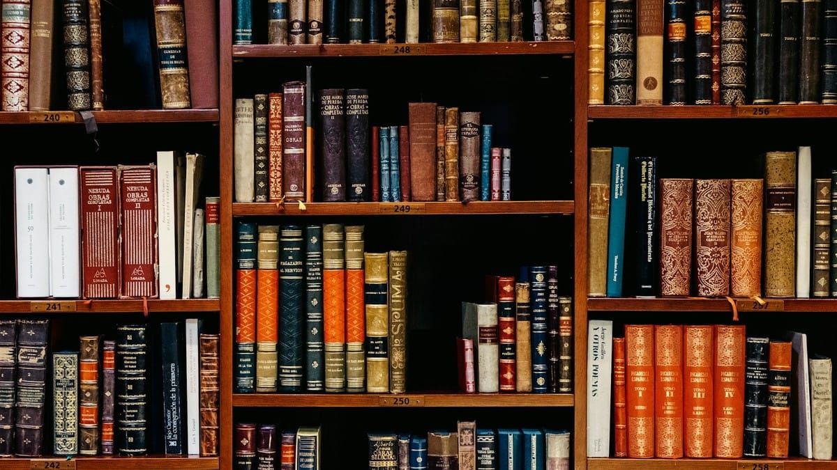 Warm wooden library shelves packed with leather-bound books, no text overlay