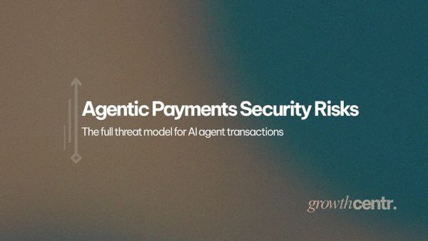 Agentic Payments Security Risks