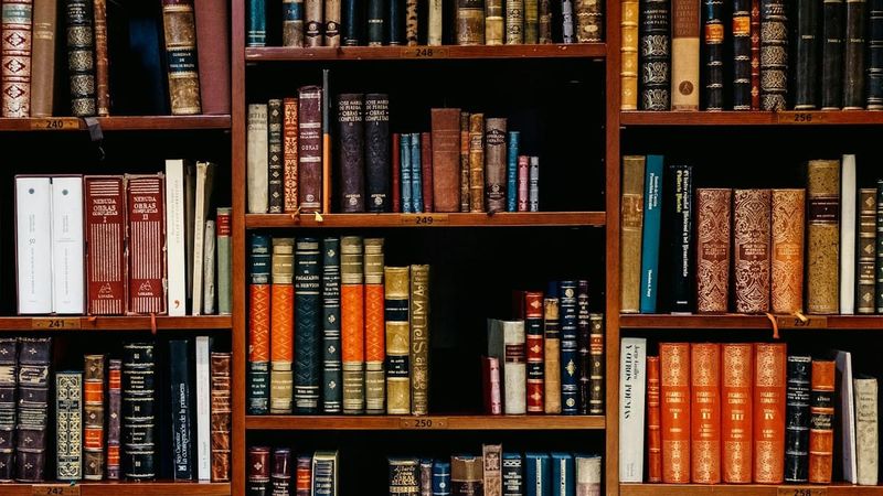 Warm wooden library shelves packed with leather-bound books, no text overlay