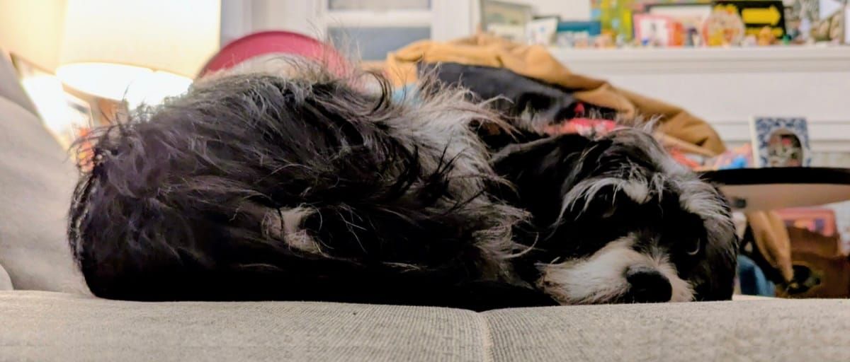 The Carpet Doesn't Have a README