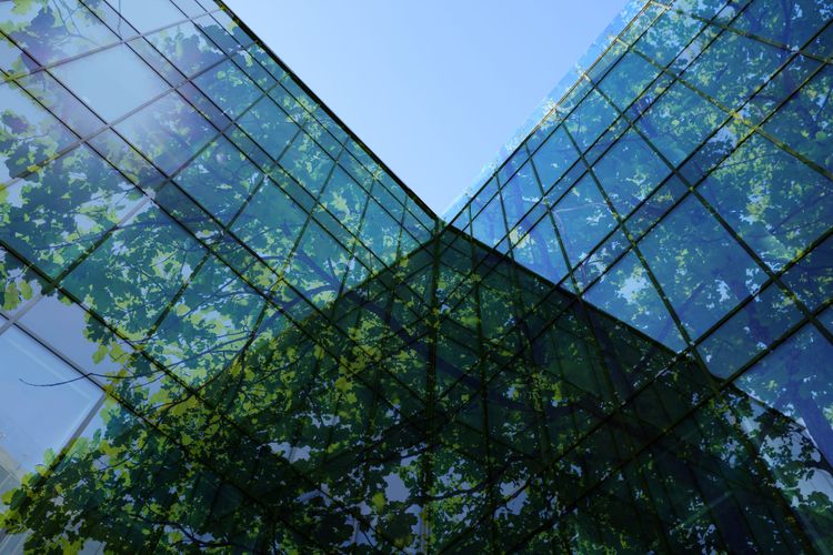 Ignoring climate risk could cost you