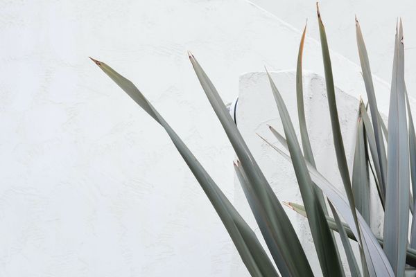 The best kind of Mistakes