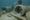From Culverts to Coral: New Artificial Reef Takes Shape Off Jacksonville’s Coast