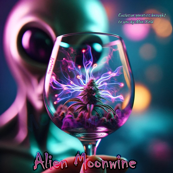 Moonwine