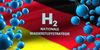 German taxpayer association rejects government LDV hydrogen spend