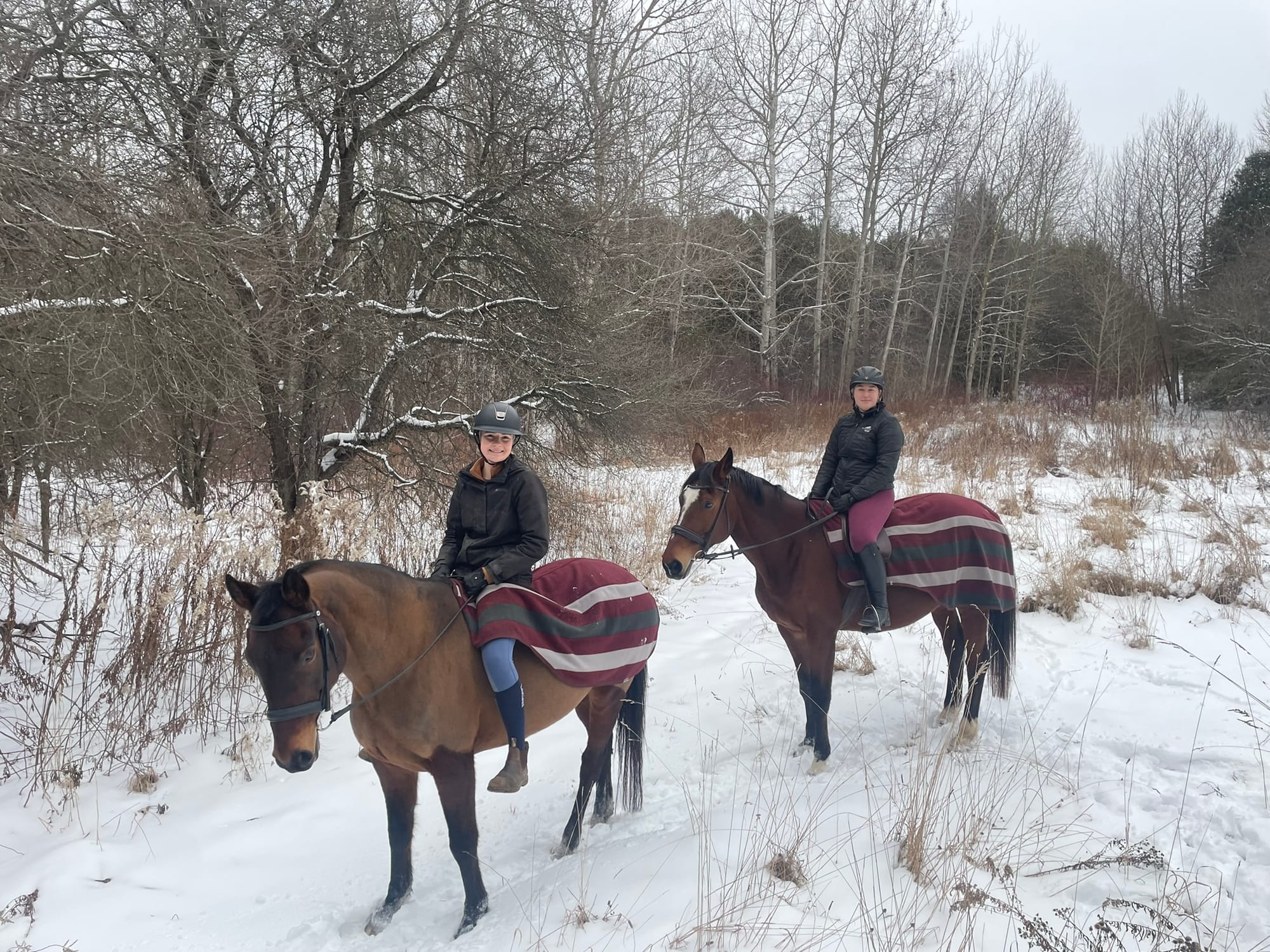 Keeping horses safe during a Canadian winter