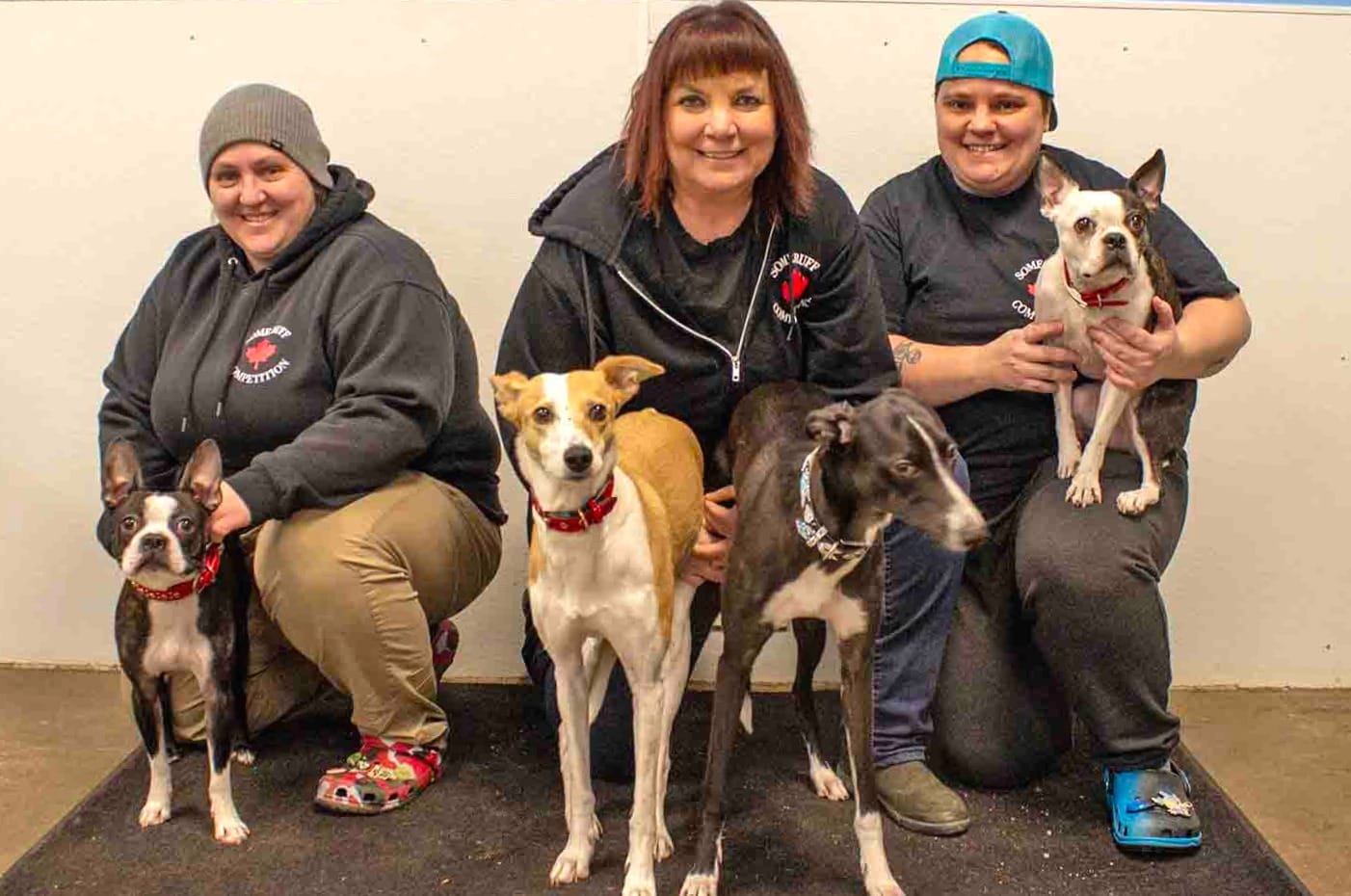 Canine athletes make history in New York