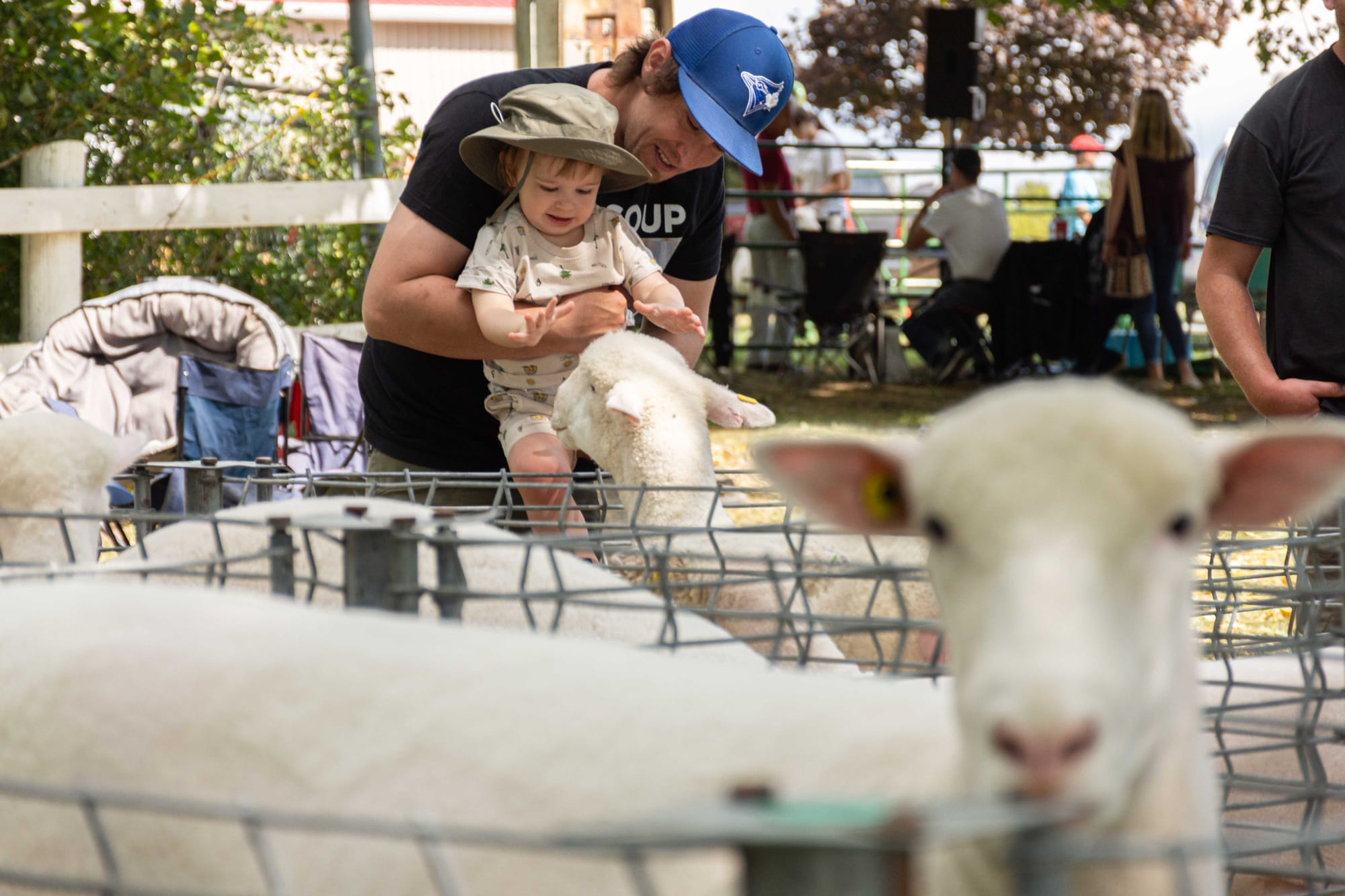 Fergus Agricultural Society will catch a break for one more year