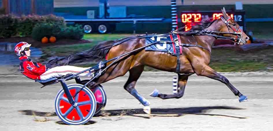 Local horsemen with Maritime roots win top harness racing awards