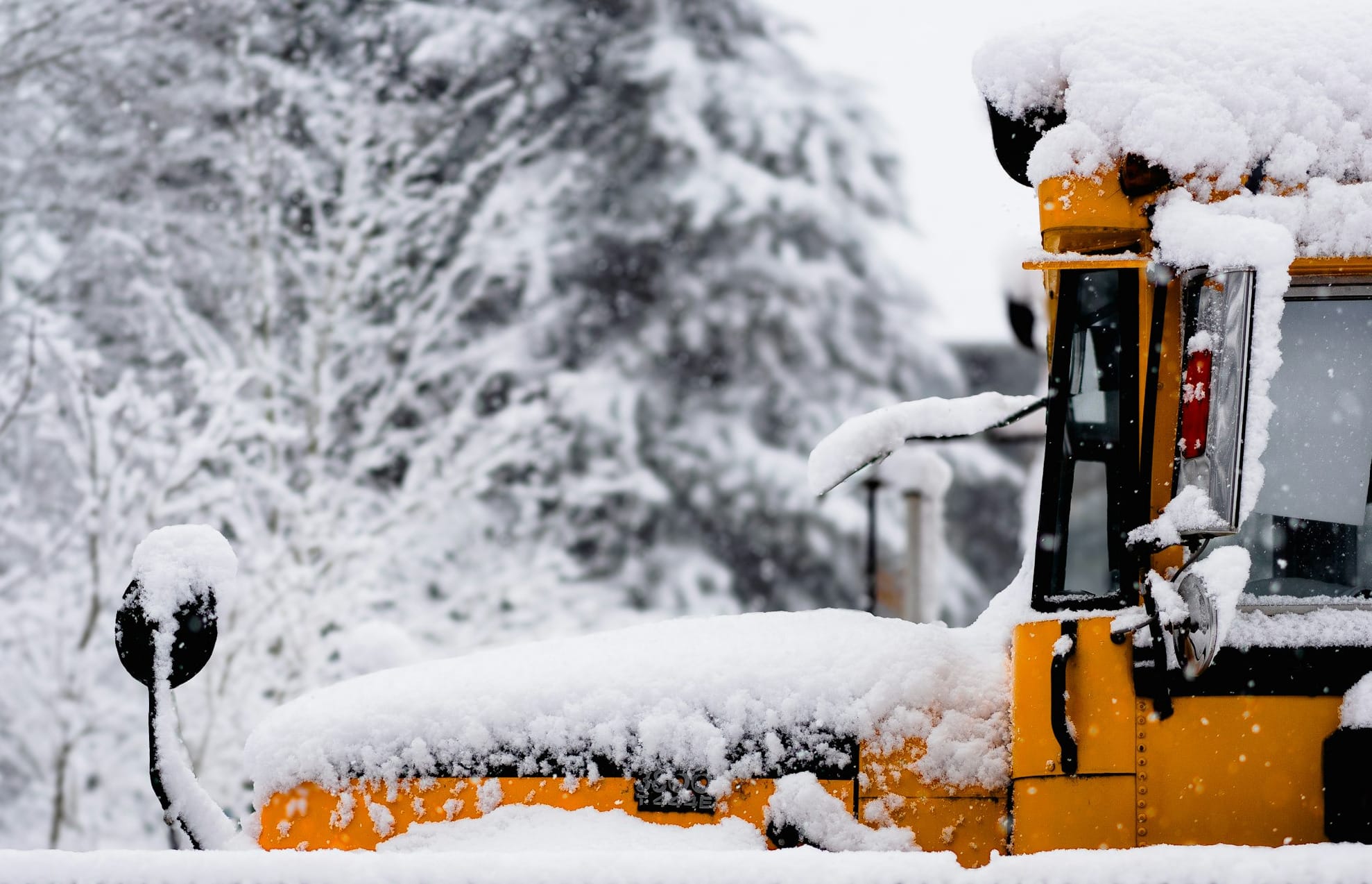 School bus cancellations hit seven-year high in Wellington County