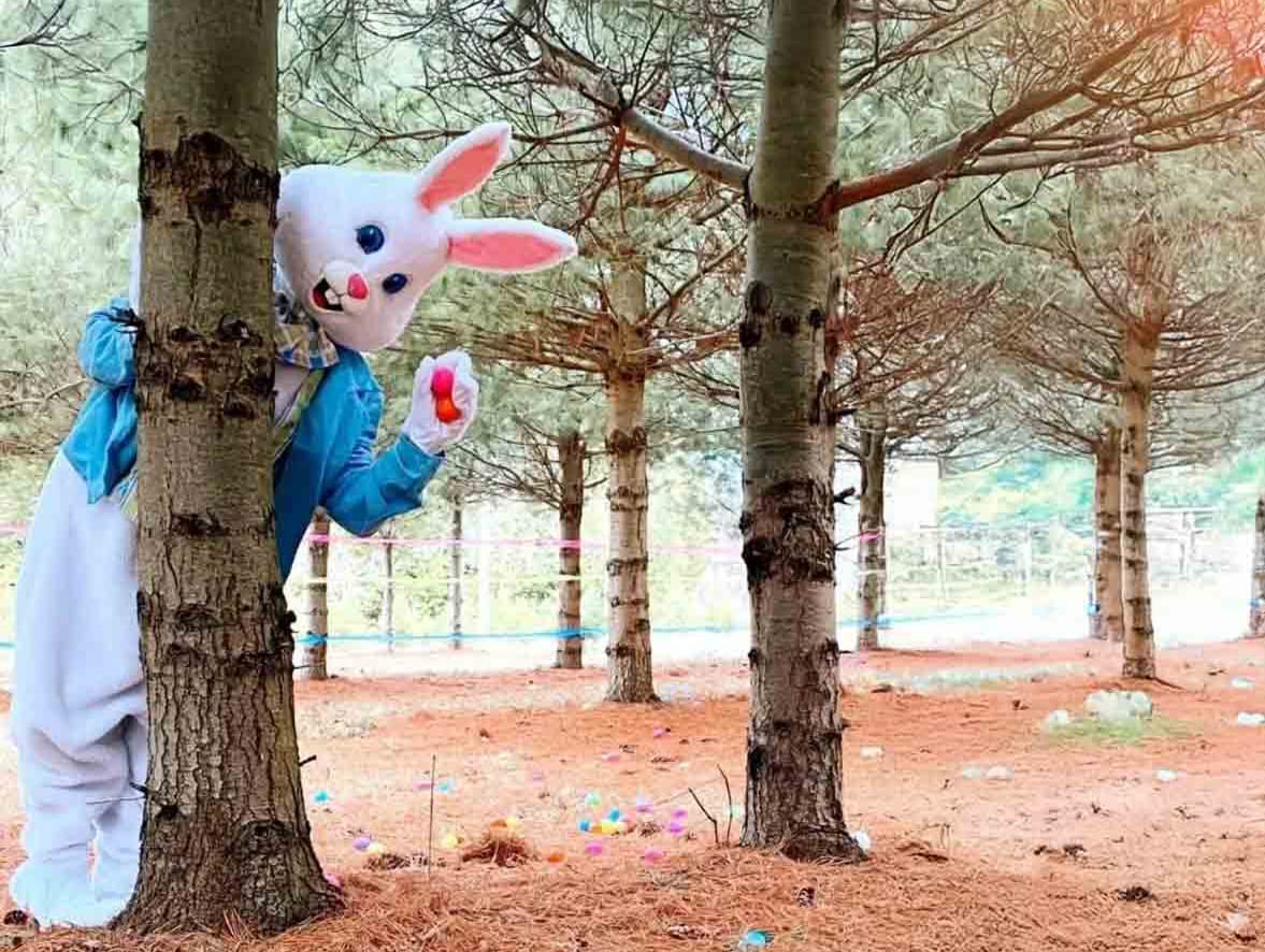 Spring Egg-Stravaganza 2026 returns at Erin Hill Acres