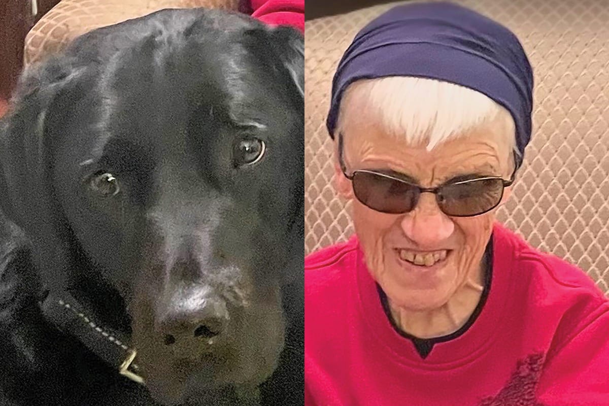 Arthur woman remains hospitalized after collision that killed guide dog