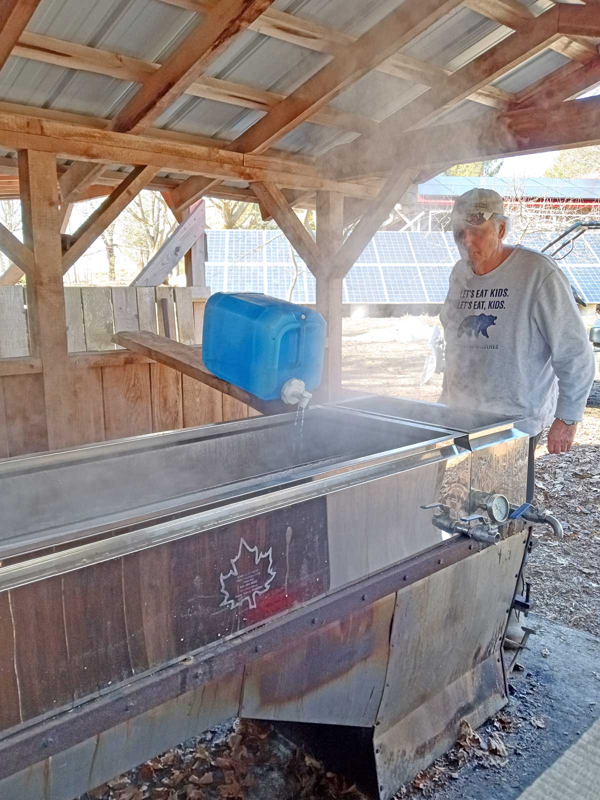 The sugar maple has a rich Canadian history