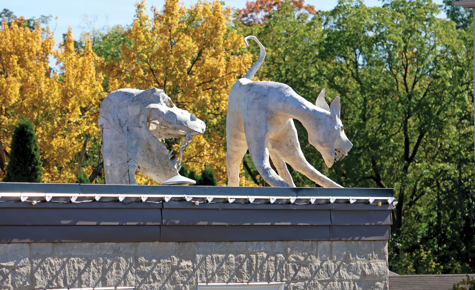 Sensational Elora’s ‘contain the monsters’ project breaks ground