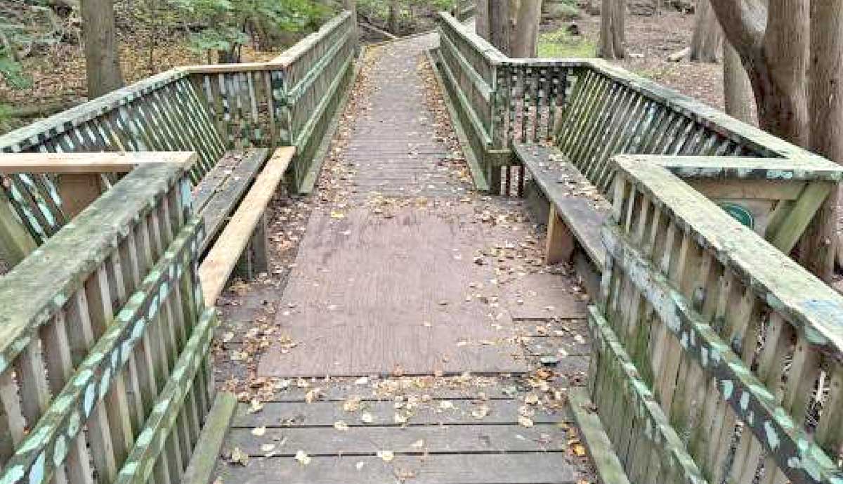 Improvements at Confederation Park accelerated thanks to private donor