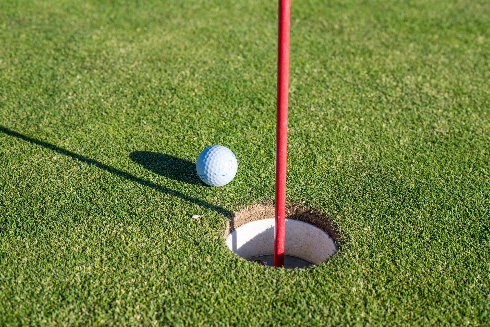Paul Walker Memorial Golf Tournament slated for Aug. 14