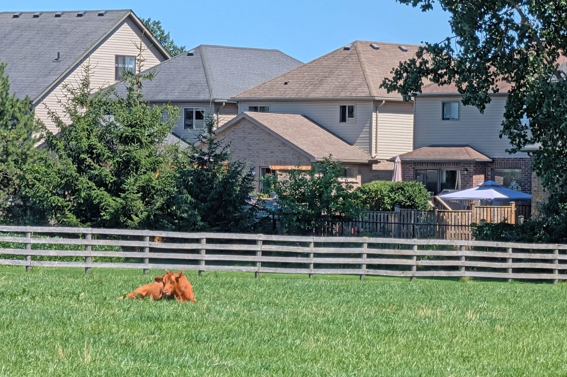 Local advocates to pitch farmland buyout plan for Centre Wellington