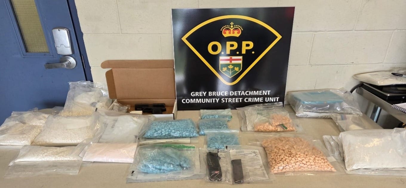 Wellington North residents charged in drug bust