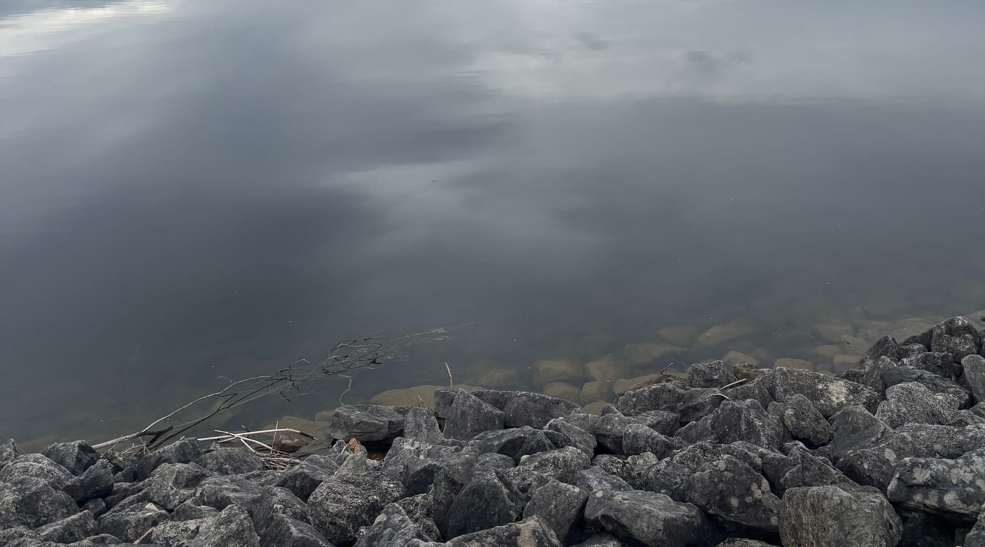 Late summer brings water quality concerns to Wellington