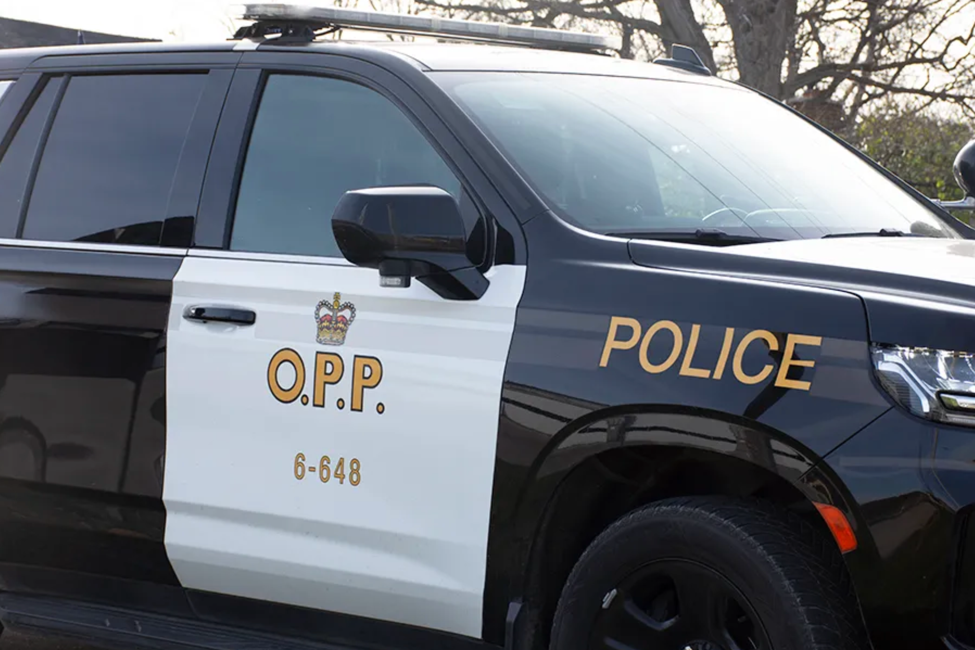 Wellington North motorcyclist dies in crash