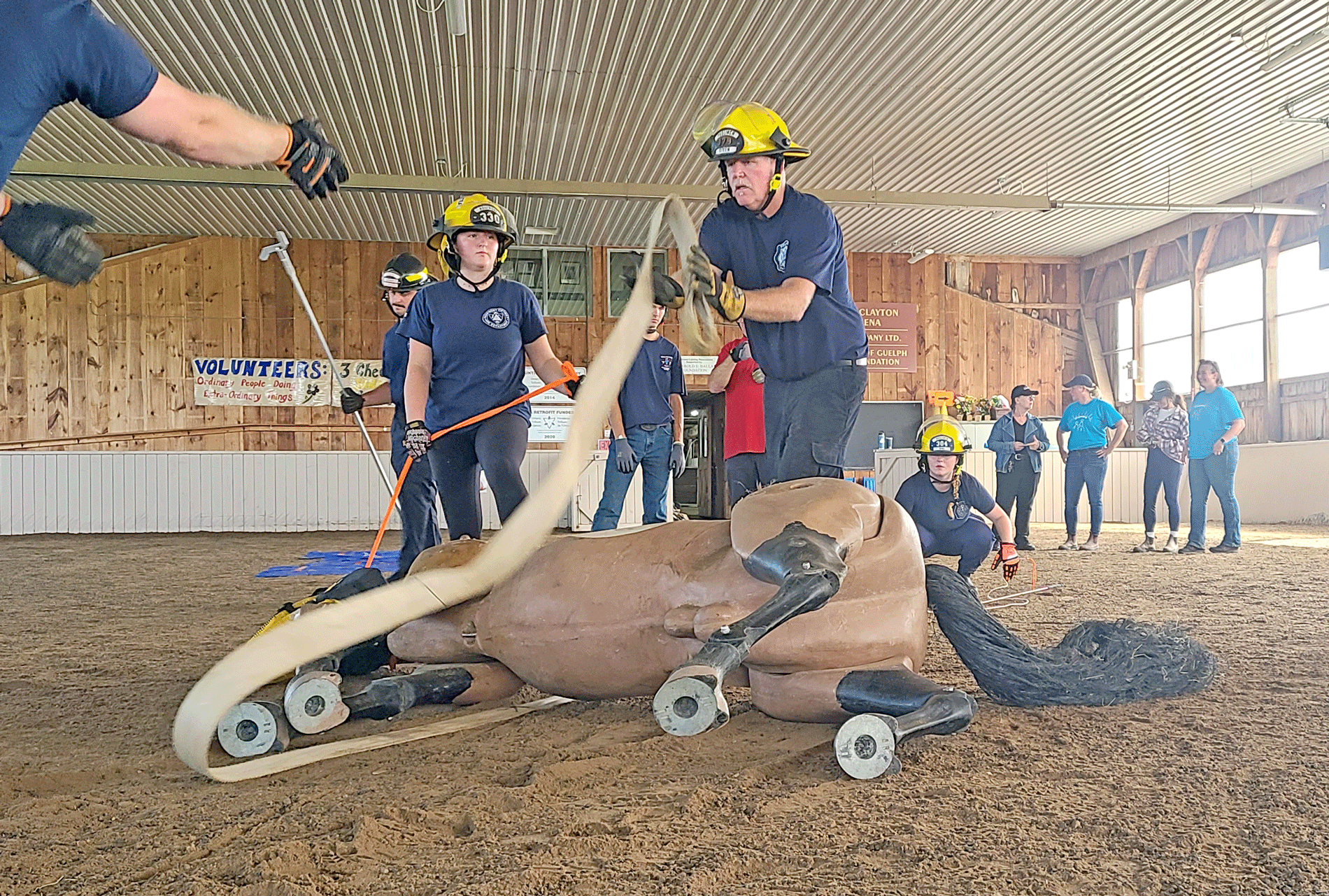 Firefighters learn large animal emergency rescue