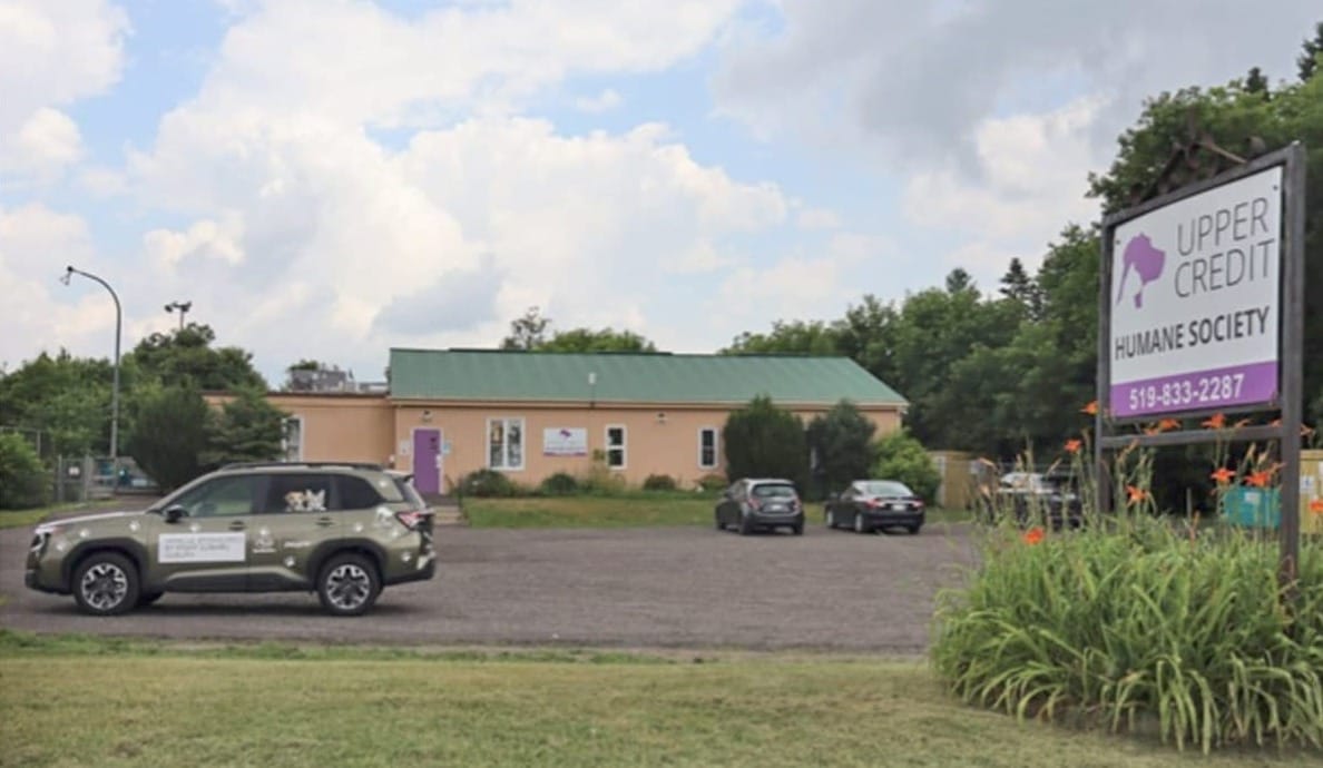 UCHS eyes two properties  for eventual relocation in 2030
