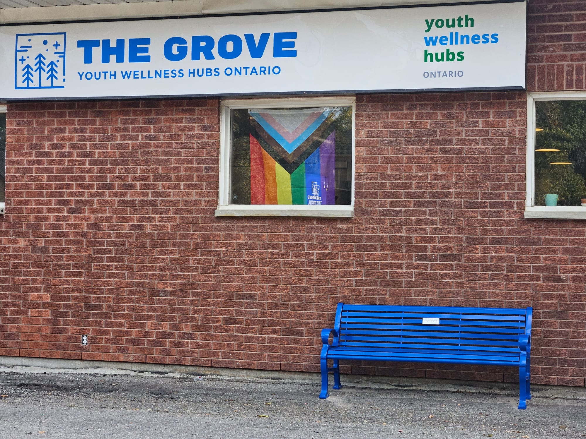 Youth Wellness Hubs celebrate five years of supporting youth