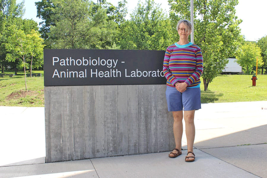 Equine researcher, professor provides secrets to learning
