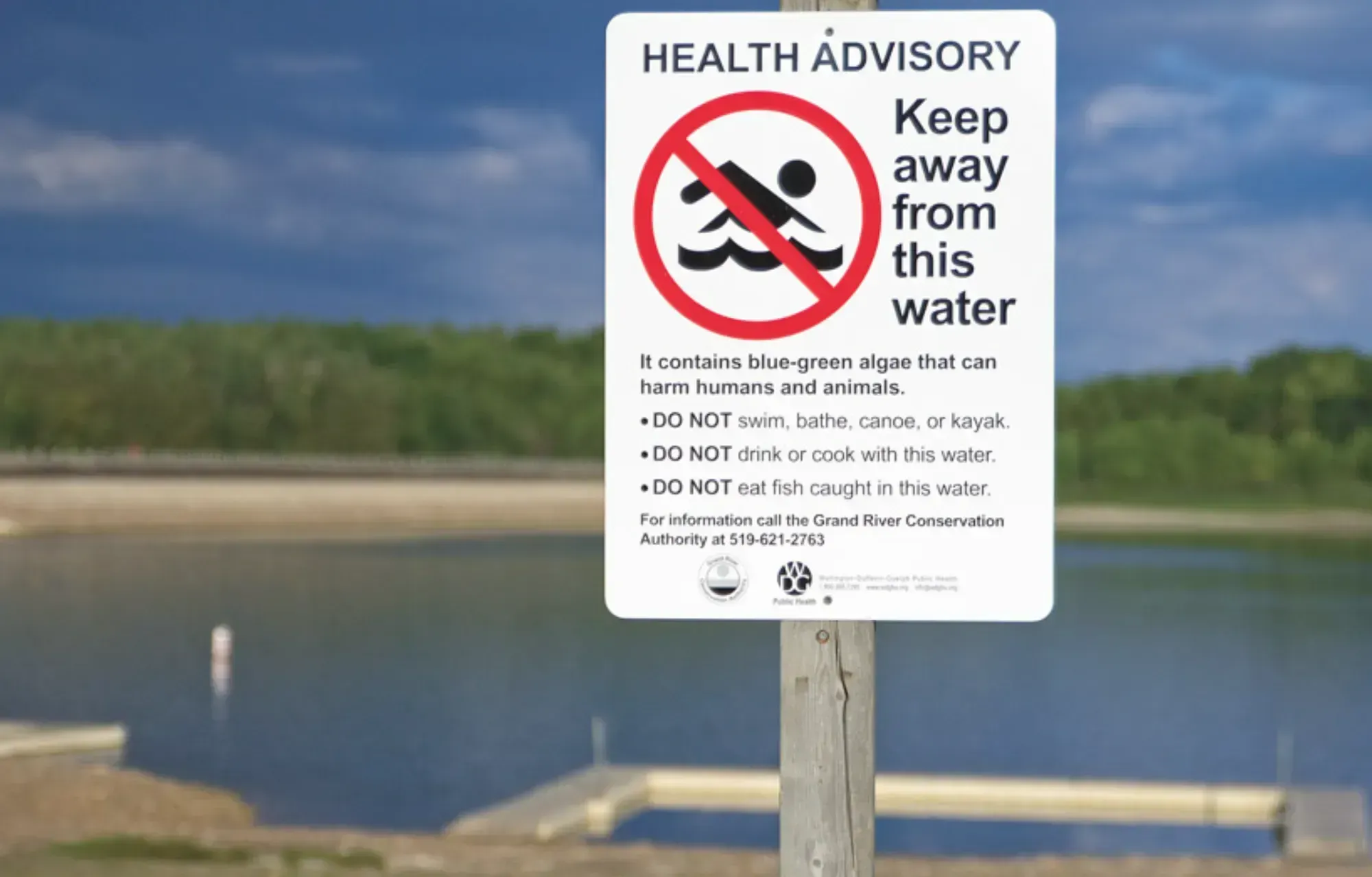 GRCA spots blue-green algae on Guelph Lake