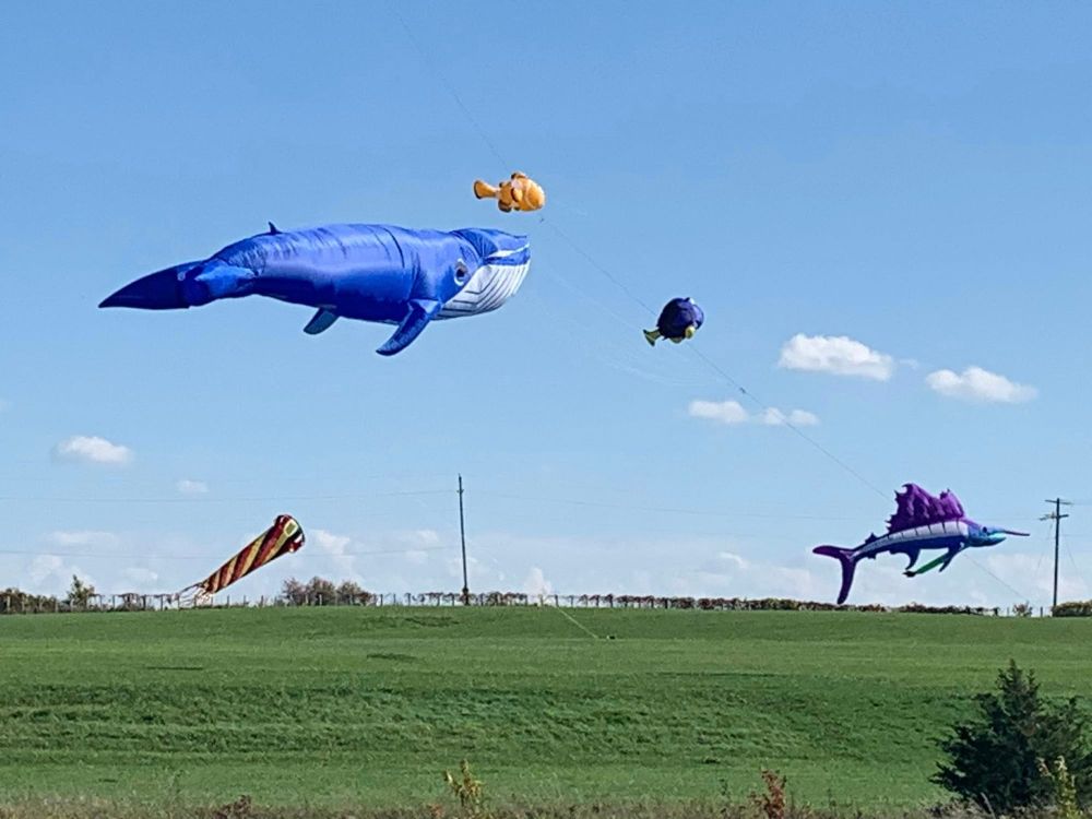 Giant kites coming to Clifford for new community event post image