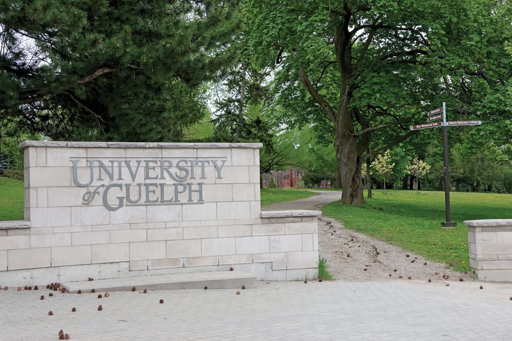 University of Guelph’s College Royal open house returns post image