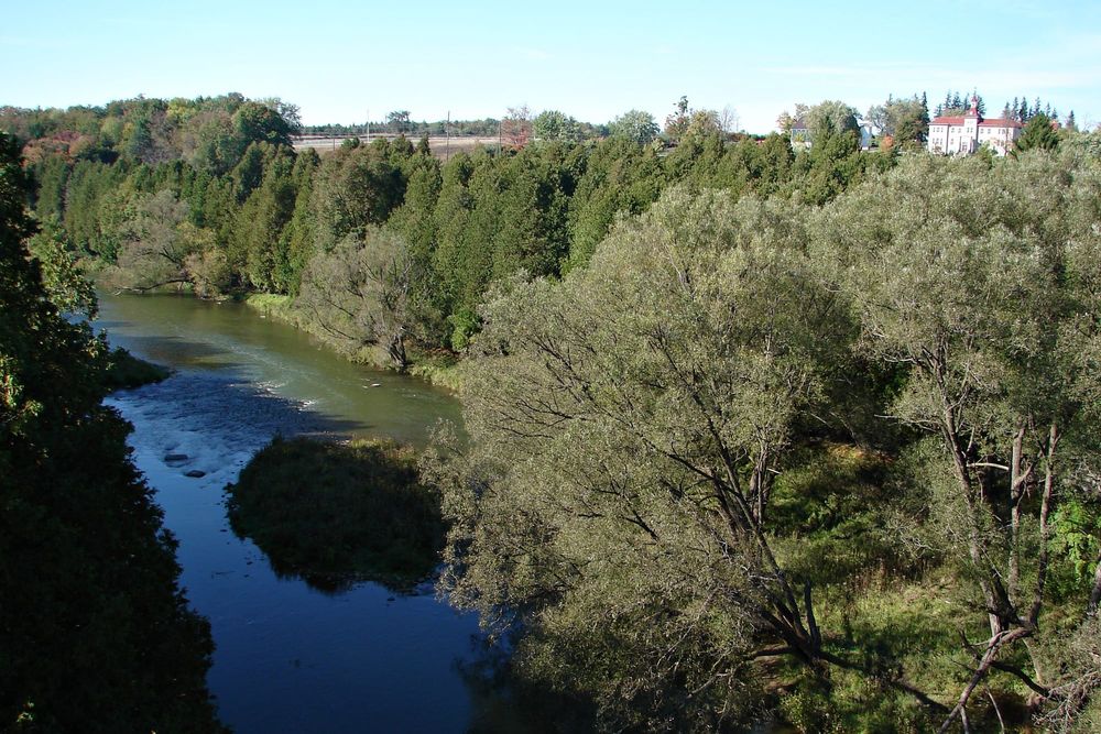 Township will conduct tree inventory with FCM grant post image