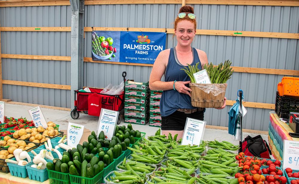 Ontario farmers renew investment to grow local impact at farmers’ markets post image