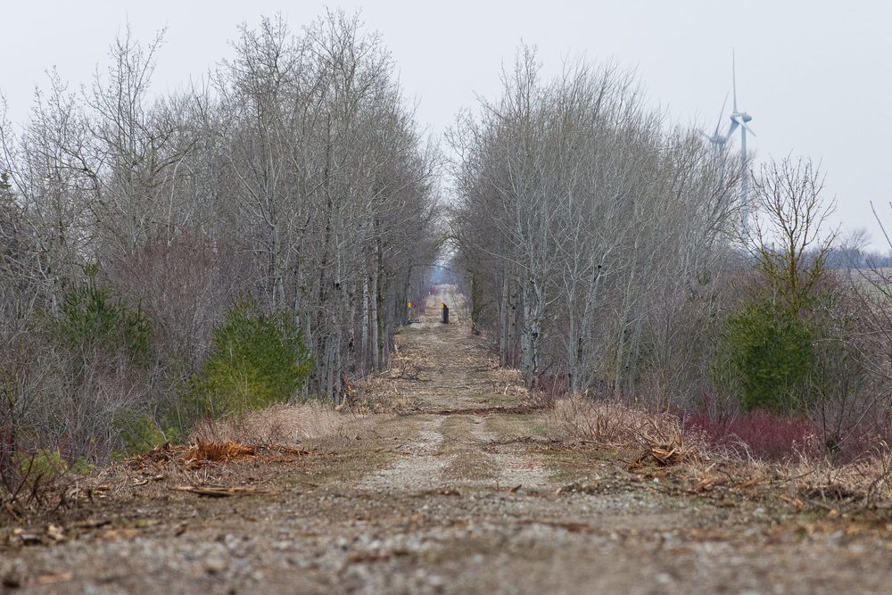 West Luther Rail Trail improvements continue thanks to community post image