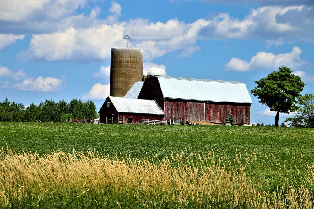 Province moves to exempt farmland from stormwater fees, addressing long-standing  concern for farmers post image