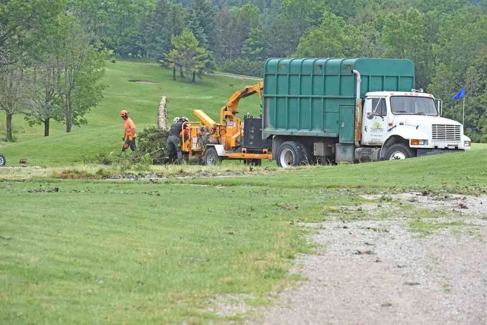 Wild winds - but not a tornado - hit area on Thursday night