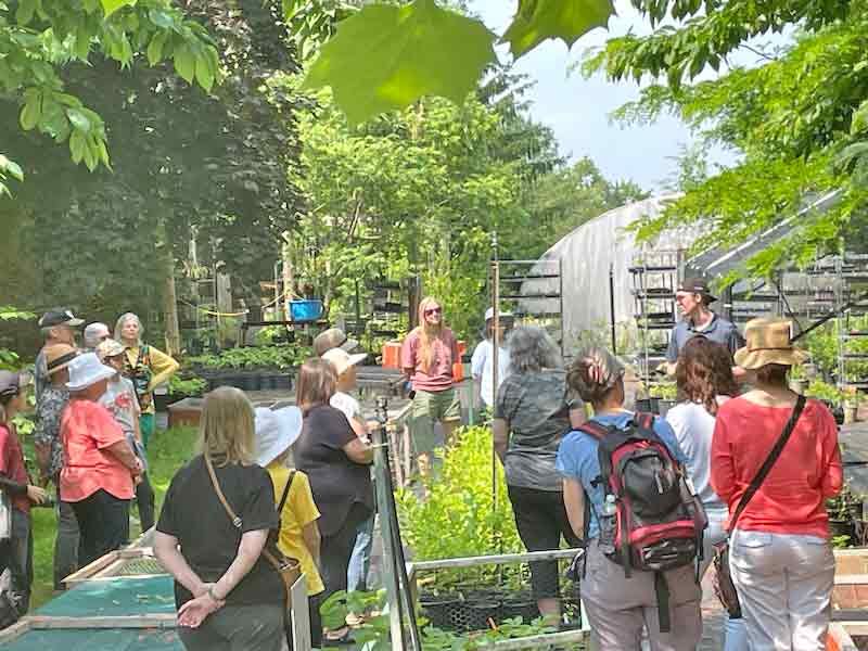 Sixth annual pollinator festival June 14 post image